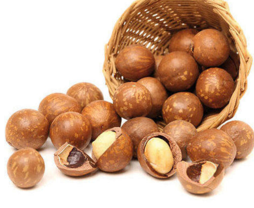 Macadamia nut